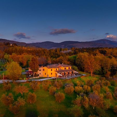 Tenuta Risalpiano Pelago Dış mekan fotoğraf
