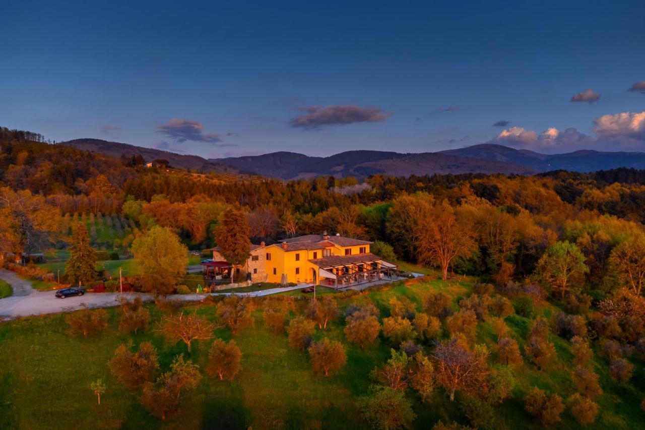 Tenuta Risalpiano Pelago Dış mekan fotoğraf