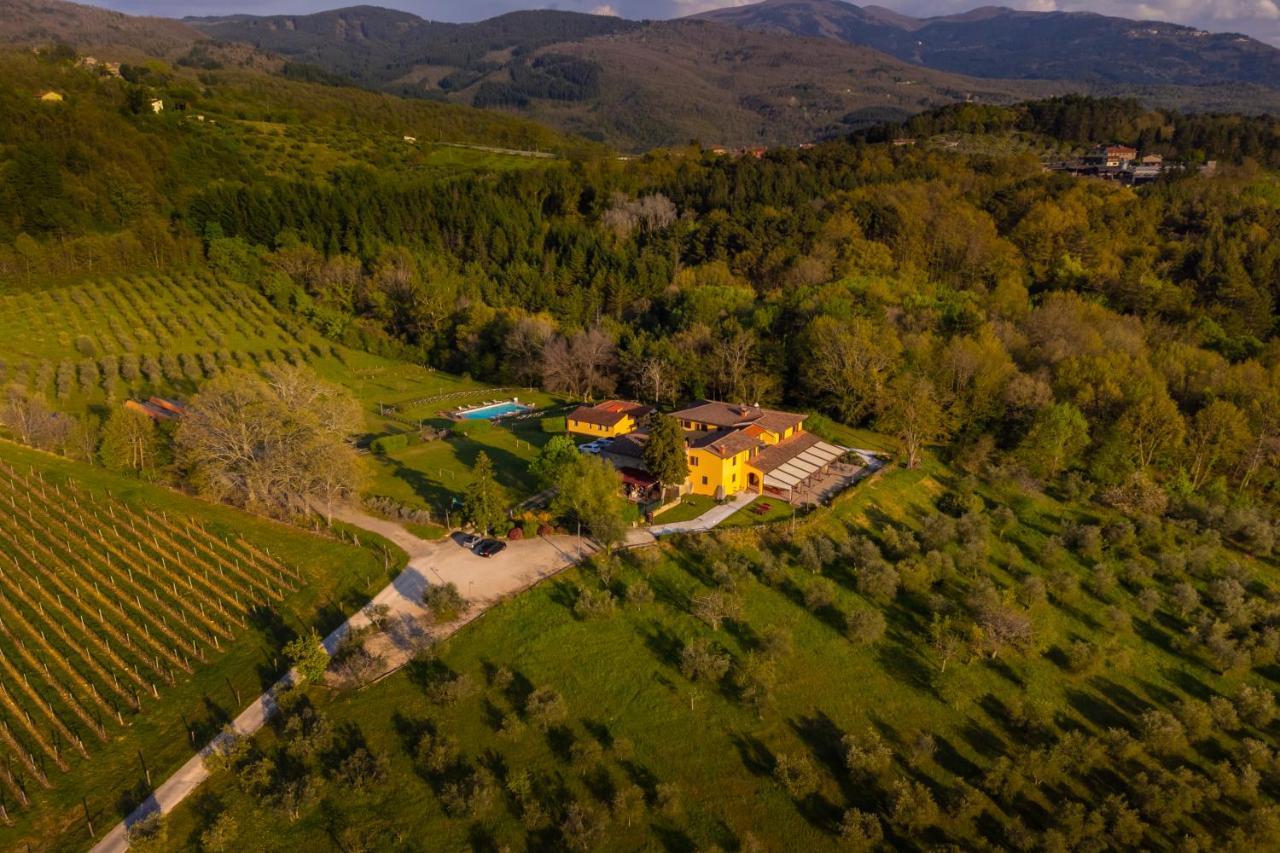 Tenuta Risalpiano Pelago Dış mekan fotoğraf