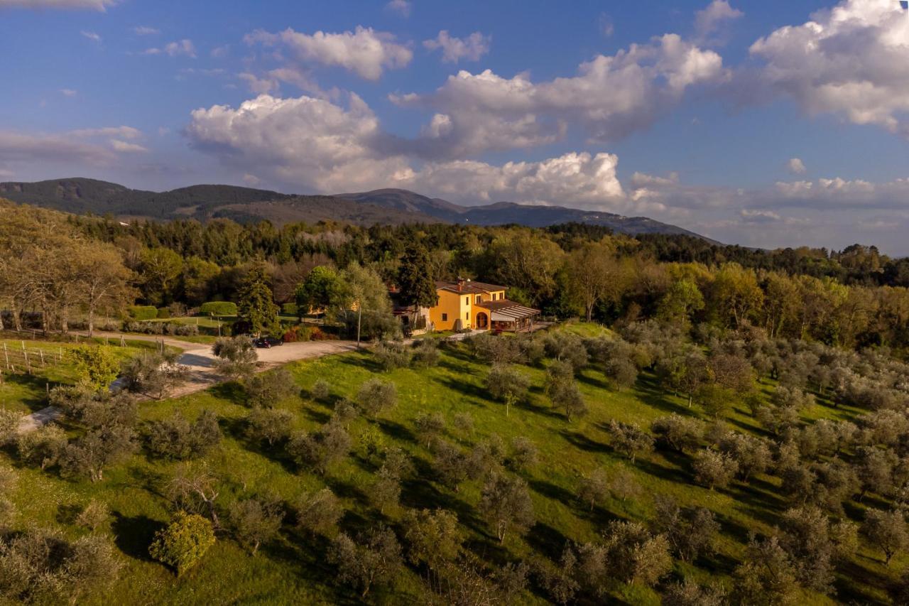 Tenuta Risalpiano Pelago Dış mekan fotoğraf