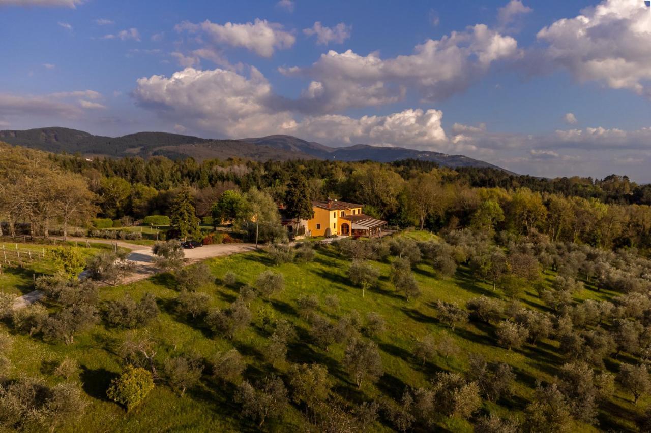 Tenuta Risalpiano Villa Pelago Dış mekan fotoğraf