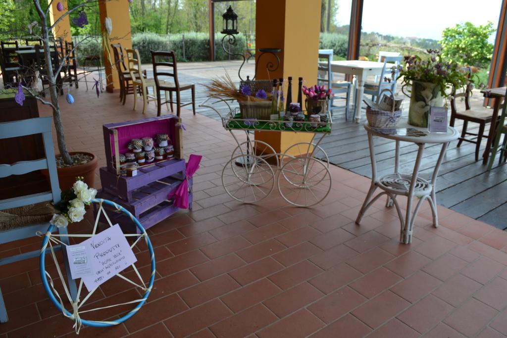 Tenuta Risalpiano Pelago Dış mekan fotoğraf